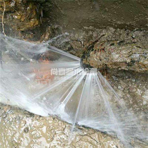 沙湖镇消防管道漏水检测